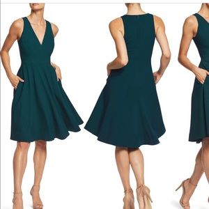 Dress the Population Catalina Fit and Flare Dress